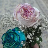 به خیاط خانم حرفه ای یا نیمه حرفه ای نیازمندیم