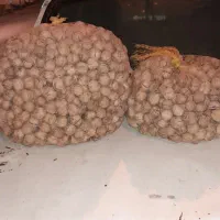 گردوخانسار