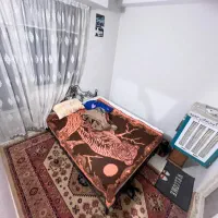 آپارتمان/۴۷متری/باپارکینگ/انباری/نزدیک خیابان اصلی|اجارهٔ آپارتمان|تهران, مسعودیه|دیوار