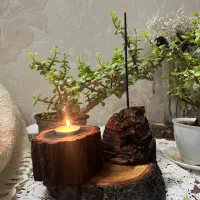 اقلام چوبی دست ساز
