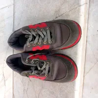 کتانی پاما سایز ۳۹|کیف، کفش، کمربند|رشت, استقامت ۱|دیوار