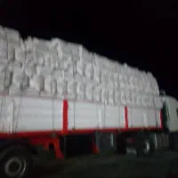 کاه.سفید.به.دونه.خاک