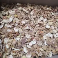 برگه زردآلو|خوردنی و آشامیدنی|یزد, |دیوار