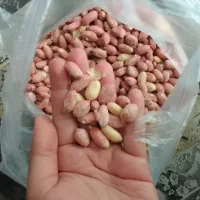 فروش بادام زمینی ممتاز