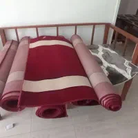 موکت تشریفات معاوضه با پشتی|موکت|بجنورد, |دیوار