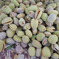 بادام کاغدی توپر و خوشمزه