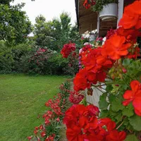 اجاره روزانه/هفتگی/ماهانه آپارتمان ۱۱۰ متری