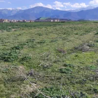 فروش زمین جلین