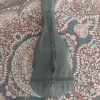 گیتار ورنا