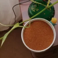 خاکشیر