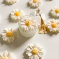 تراپی و تزیین