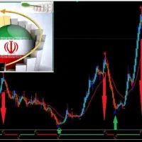 کمک داوطلبانه به سرمایه گذار در بورس ایران