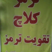 ترمزسازی