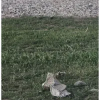 زمین مسکونی چسبیده به طرح