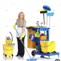 خانم امور منزل|استخدام سرایداری و نظافت|تهران, استخر|دیوار