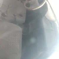 دوو اسپرو اوراقی ، اسقاطی|خودرو سواری و وانت|تهران, تهرانپارس شرقی|دیوار