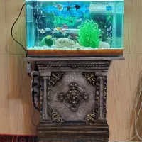 آکواریوم با لوازم