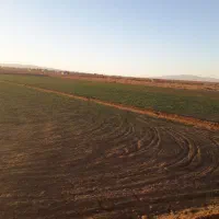 ۴ساعت آب شیرین به همراه ۴هکتار زمین