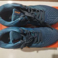 کفش والیبال سایز 44-45|ورزشهای توپی|آمل, |دیوار