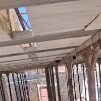سفتکاری-خ-اعتمادی