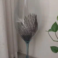 تنگ