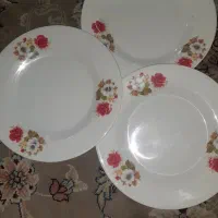 ظروف ملامین