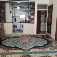 ۵۰ متر تک واحدی ۸۰۰ نقد ۱۰۰ تومن در رهن مستاجر|فروش آپارتمان|پاکدشت, پاکدشت (مامازند)|دیوار