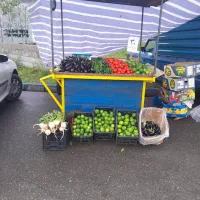 گاری تروتمیز