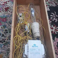 لامپ خیاری