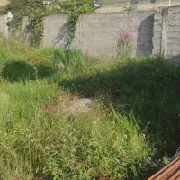 زمین مسکونی ۲۰۰دارای پروانه ساخت