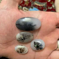 سنگ انگشتر شجر قائن کلکسیونی،عتیقه،باب طلا،معاوضه|جواهرات|تهران, تهرانسر شرقی|دیوار