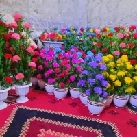 انوع گل مصنوعی زاهدان