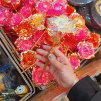 گل های رز خارجی رنگی اک