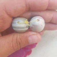 مهره برد ومهر|جواهرات|دهدشت, |دیوار