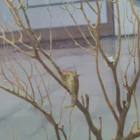 آکواریوم با تمام تجهیزات