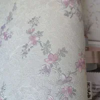 رنگکار ساختمان، نصاب کاغذدیواری|خدمات پیشه و مهارت|باغ ملک, |دیوار