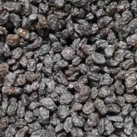 نمایندگی کشمش و مویز شیراز|عمده‌فروشی|تهران, مرزداران|دیوار