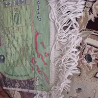 فرش 12 متری 500 شانه گل برجسته در حد نو|فرش|قزوین, |دیوار