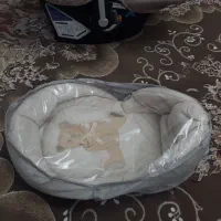 کرییر، پشه بند وقنداق سوئیسی|اسباب و اثاث بچه|اردبیل, |دیوار