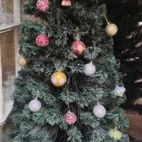 درخت کریسمس