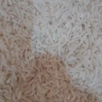 برنج هاشمی کیلان