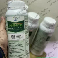 سم قارچکش اینفینیتو بایر - بیماری سفیدک