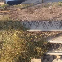 تیرچه ساختمان