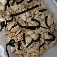 خشکبار و حبوبات و تخم کدو و کودشیمیایی و گندم