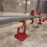 آب خوری مرغ سطلی اتوماتیک بزرگ|لوازم جانبی حیوانات|رشت, گلسار|دیوار