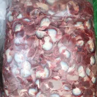 سنگدان مرغ ممتاز