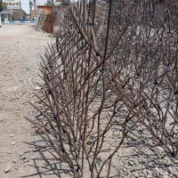 حفاظ شاخ گوزنی نرده آبشاری|خدمات پیشه و مهارت|شهریار, شهرک مصطفی خمینی|دیوار