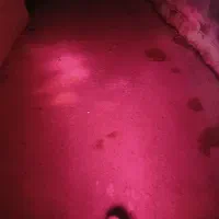 موتور کلاسیک مدل 1400|موتورسیکلت|کیش, |دیوار