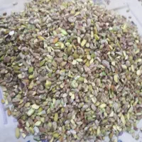 مغز|خوردنی و آشامیدنی|تهران, خانی‌آباد|دیوار