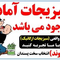 بازاریاب و فروشنده حضوری با سابقه